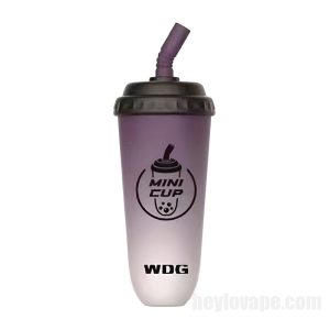 Wdg Mini Cup E-cigs Indiúscartha 5000 Puff # Currant Dubh Sú 15ml