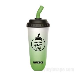 Wdg Mini Cup E-cigs Indiúscartha 5000 Puff # Cnó Cócó Uisce