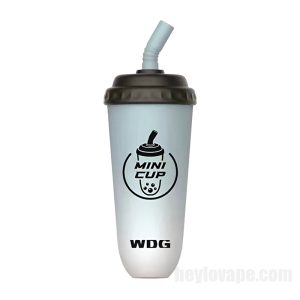 Wdg Mini Cup E-cigs Indiúscartha 5000 Puff # Uisce Reoite