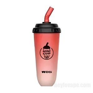 Wdg Mini Cup E-cigs Indiúscartha # Watermelon Oighear 5000 Puff 3.5%