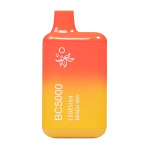 ELF BAR BC5000 Disposable 5000 Puffs Beach Day 650mAh
